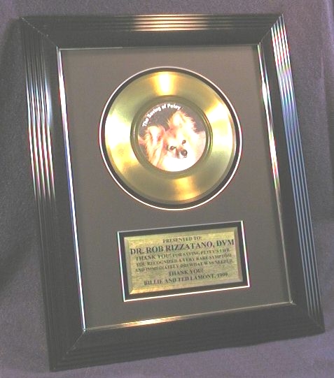 7 inch gold record in large black frame